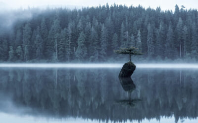 Vaikus, mida me väldime – ja miks me seda vajame