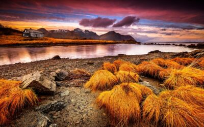 Rõõm, mis kannab ka rasketel aegadel